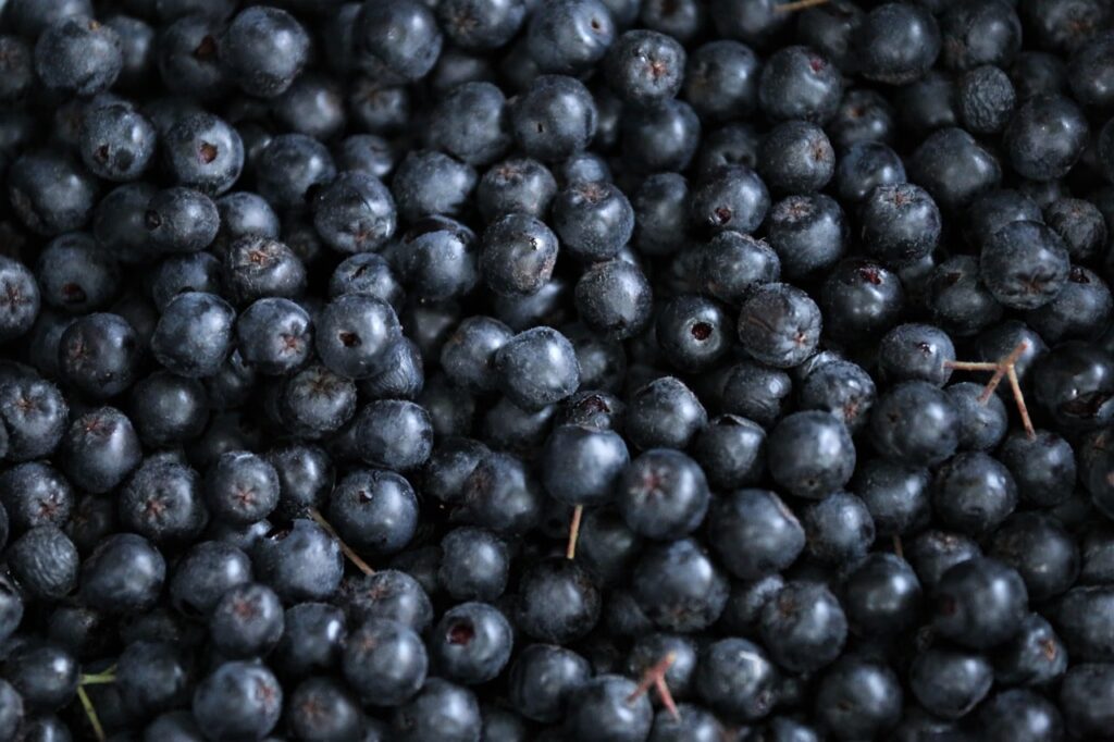 Aroniabeeren zum so essen