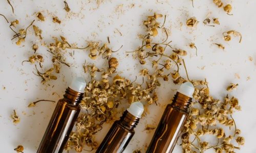 Duftanker fürs Nervensystem Titelbild