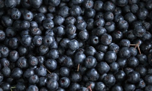 Aroniabeeren zum so essen